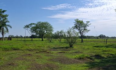 SE VENDE HERMOSA FINCA EN AGUAZUL CASANARE- SECTOR SAN JOSE DEL BUBUY