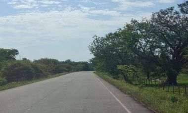 SE VENDE HERMOSA FINCA EN AGUAZUL CASANARE- SECTOR SAN JOSE DEL BUBUY