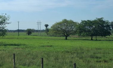 SE VENDE HERMOSA FINCA EN AGUAZUL CASANARE- SECTOR SAN JOSE DEL BUBUY