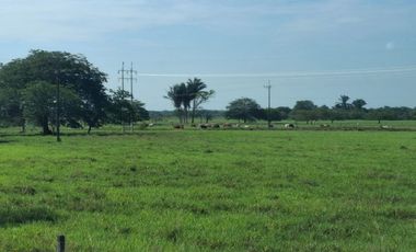 SE VENDE HERMOSA FINCA EN AGUAZUL CASANARE- SECTOR SAN JOSE DEL BUBUY