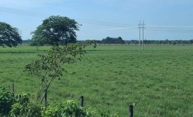 SE VENDE HERMOSA FINCA EN AGUAZUL CASANARE- SECTOR SAN JOSE DEL BUBUY