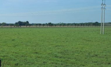 SE VENDE HERMOSA FINCA EN AGUAZUL CASANARE- SECTOR SAN JOSE DEL BUBUY