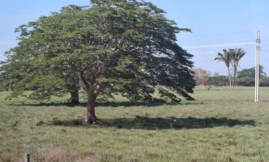 SE VENDE HERMOSA FINCA EN AGUAZUL CASANARE- SECTOR SAN JOSE DEL BUBUY