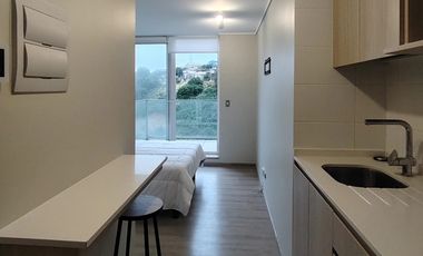 ARRIENDO HERMOSO LOFT EN C.PLACERES  AMUEBLADO
