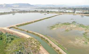 camaronera de venta en chone manabi