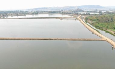 camaronera de venta en chone manabi