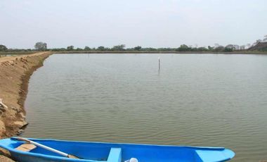 camaronera de venta en chone manabi