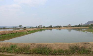 camaronera de venta en chone manabi