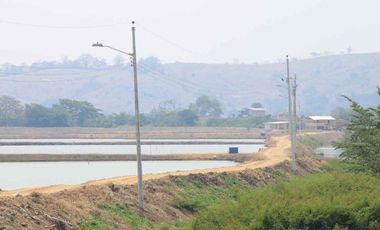 camaronera de venta en chone manabi