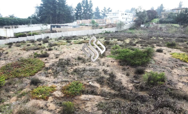 Venta Terreno 2000 M2 A 3.8uf El Mt2 Sector Los Pinos Concón