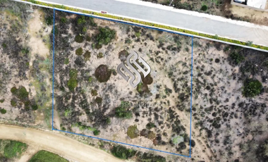 Venta Terreno 2000 M2 A 3.8uf El Mt2 Sector Los Pinos Concón
