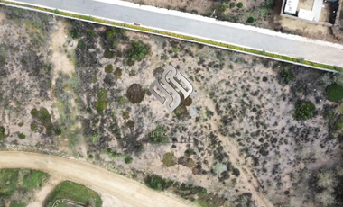 Venta Terreno 2000 M2 A 3.8uf El Mt2 Sector Los Pinos Concón