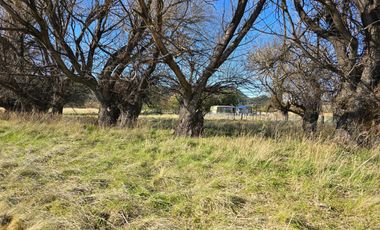 TERRENO EN LOS CIPRESES, CHUBUT