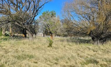 TERRENO EN LOS CIPRESES, CHUBUT
