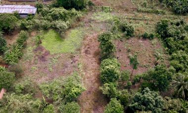 VENTA DE 4 LOTES EN TARAPOTO - Cerca  La Universidad Peruana Unión