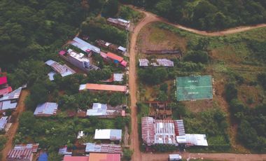 VENTA DE 4 LOTES EN TARAPOTO - Cerca  La Universidad Peruana Unión
