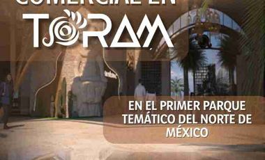 Departamentos y Locales en Venta en Mazatlán