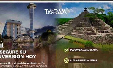 Departamentos y Locales en Venta en Mazatlán