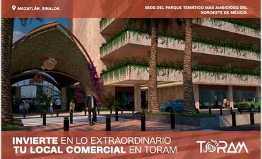 Departamentos y Locales en Venta en Mazatlán