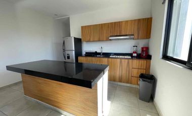 🎀 𝗘𝗡 𝗥𝗘𝗡𝗧𝗔 | PRECIOSO DEPA AMUEBLADO en zona céntrica en Los Cabos Cabo San Lucas 🎀