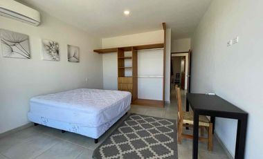 🎀 𝗘𝗡 𝗥𝗘𝗡𝗧𝗔 | PRECIOSO DEPA AMUEBLADO en zona céntrica en Los Cabos Cabo San Lucas 🎀