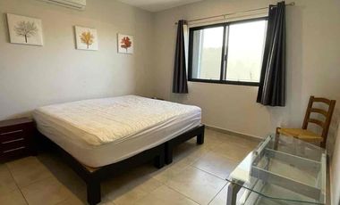 🎀 𝗘𝗡 𝗥𝗘𝗡𝗧𝗔 | PRECIOSO DEPA AMUEBLADO en zona céntrica en Los Cabos Cabo San Lucas 🎀