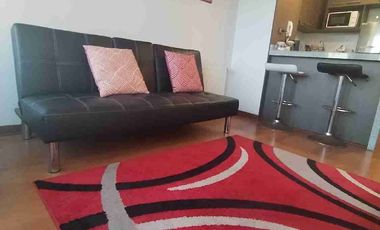 Hermoso depto Amoblado 1 dorm, cerca Hospital Regional