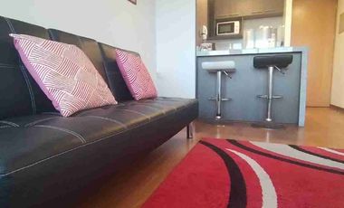 Hermoso depto Amoblado 1 dorm, cerca Hospital Regional