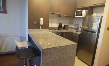 Hermoso depto Amoblado 1 dorm, cerca Hospital Regional