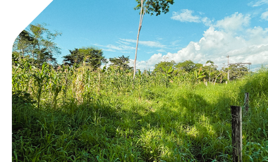 Terreno en Sucúa, Paraíso de la Amazonía. Terreno en Morona Santiago
