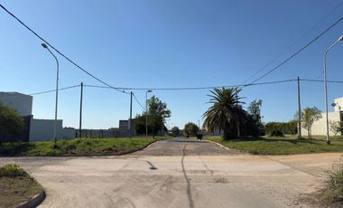 LOS ROBLES Y LOPEZ JORDAN