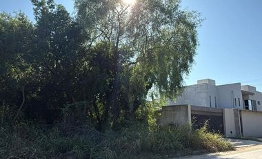 LOS ROBLES Y LOPEZ JORDAN