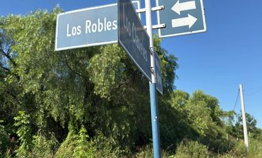 LOS ROBLES Y LOPEZ JORDAN