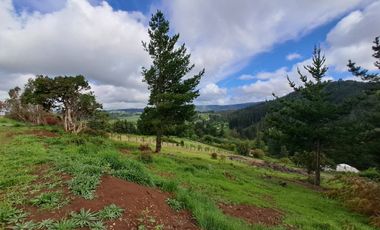 VENTA  HERMOSA PARCELA- TEMUCO