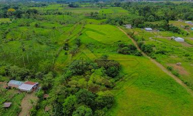Av. Colorados del Búa