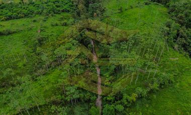 Av. Colorados del Búa