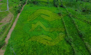 Av. Colorados del Búa