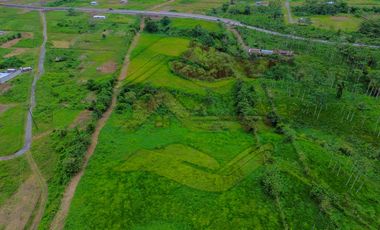 Av. Colorados del Búa
