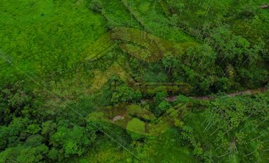 Av. Colorados del Búa