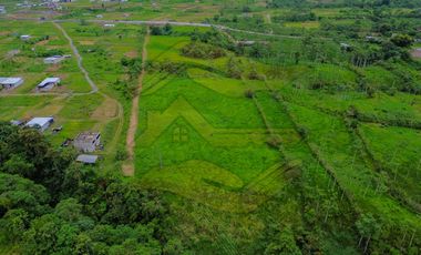 Av. Colorados del Búa