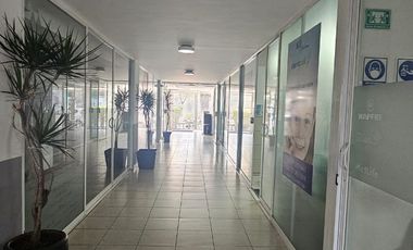 Oficina en renta dentro de edificio en boulevard Benito Juarez, Cuernavaca Mor.
