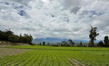 LOTE EN VENTA DE 900m2 EN SANTIAGO DEL REY