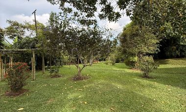 CASA PARA LA RENTA EN CERRITOS PEREIRA