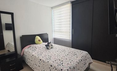 Apartamento conjunto Araucarias