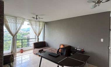 Apartamento conjunto Araucarias