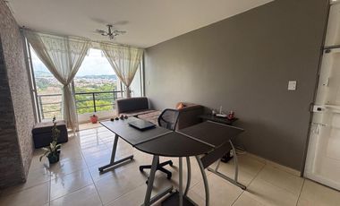 Apartamento conjunto Araucarias