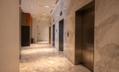 OFICINAS DISPONIBLES DESDE 142m2 
