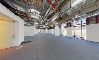 OFICINAS DISPONIBLES DESDE 142m2 