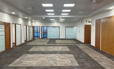 OFICINAS DISPONIBLES DESDE 142m2 