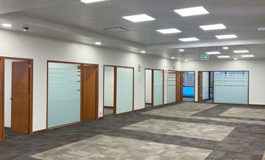 OFICINAS DISPONIBLES DESDE 142m2 